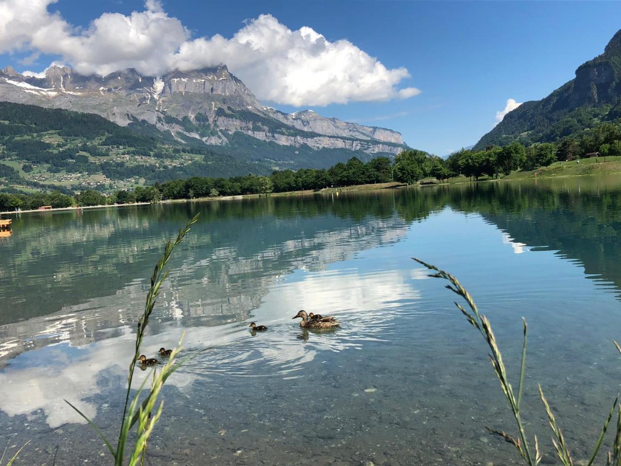 Le Moulin Des Olirics Βίλα Σαλάνς Εξωτερικό φωτογραφία