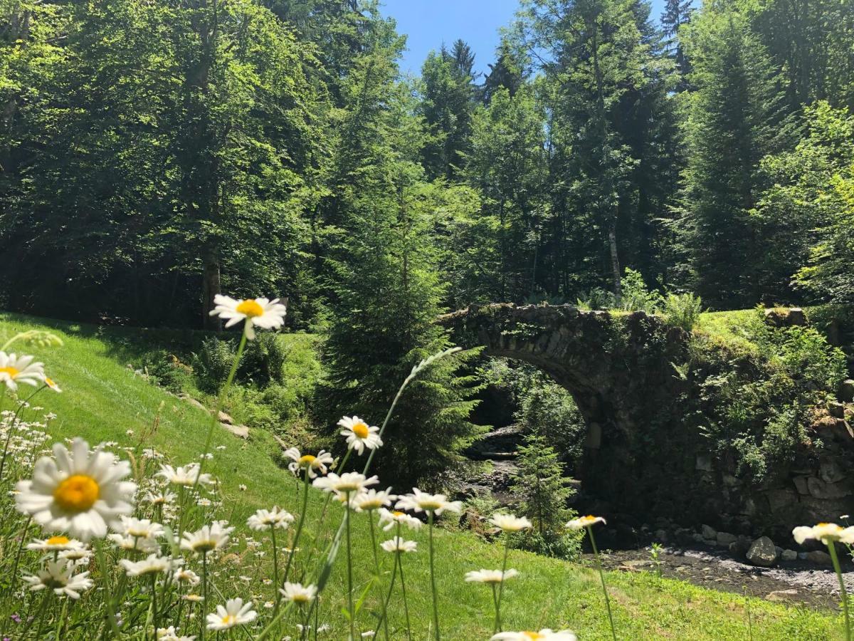 Le Moulin Des Olirics Βίλα Σαλάνς Εξωτερικό φωτογραφία